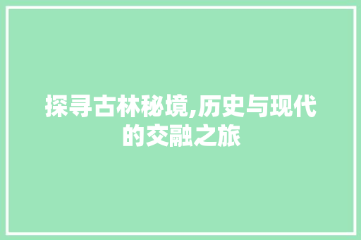 探寻古林秘境,历史与现代的交融之旅