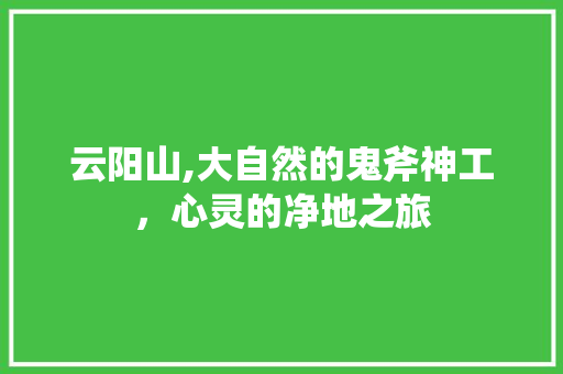 云阳山,大自然的鬼斧神工，心灵的净地之旅