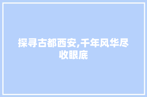 探寻古都西安,千年风华尽收眼底