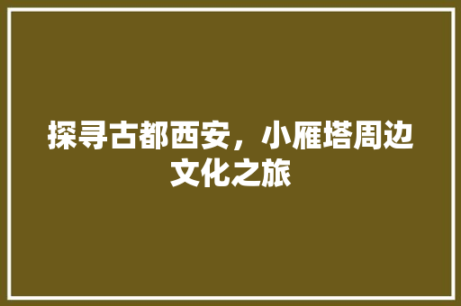 探寻古都西安，小雁塔周边文化之旅