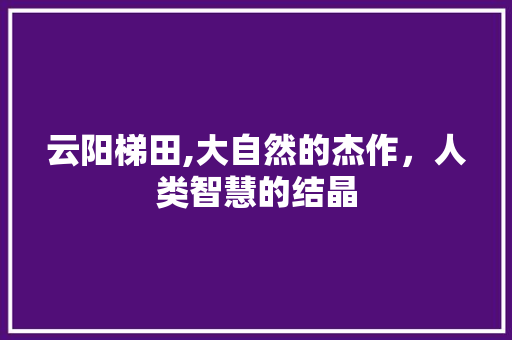 云阳梯田,大自然的杰作，人类智慧的结晶  第1张