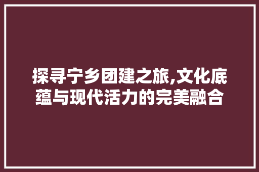 探寻宁乡团建之旅,文化底蕴与现代活力的完美融合