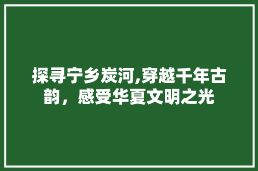 探寻宁乡炭河,穿越千年古韵，感受华夏文明之光