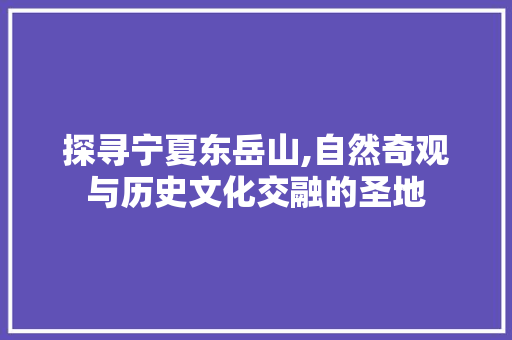 探寻宁夏东岳山,自然奇观与历史文化交融的圣地