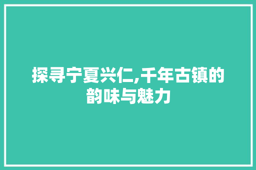 探寻宁夏兴仁,千年古镇的韵味与魅力