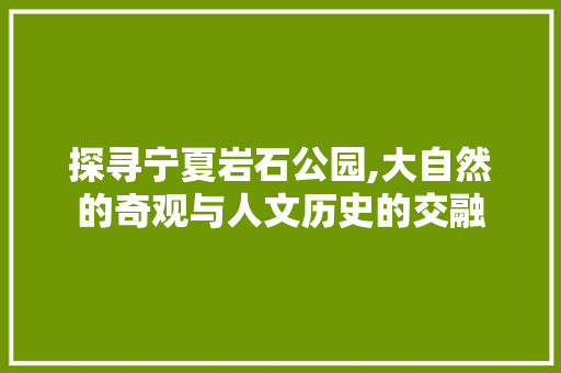 探寻宁夏岩石公园,大自然的奇观与人文历史的交融