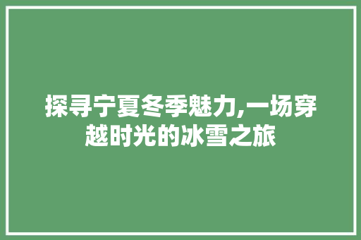 探寻宁夏冬季魅力,一场穿越时光的冰雪之旅