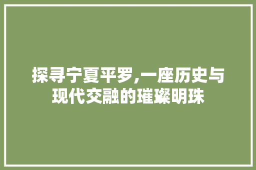 探寻宁夏平罗,一座历史与现代交融的璀璨明珠