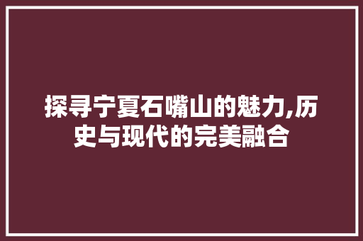 探寻宁夏石嘴山的魅力,历史与现代的完美融合