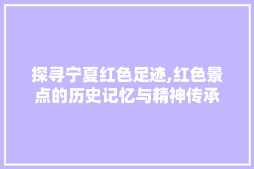 探寻宁夏红色足迹,红色景点的历史记忆与精神传承