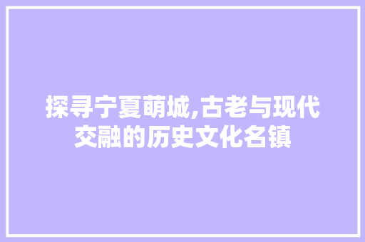 探寻宁夏萌城,古老与现代交融的历史文化名镇