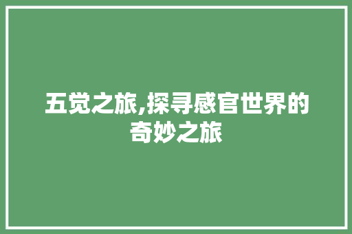 五觉之旅,探寻感官世界的奇妙之旅