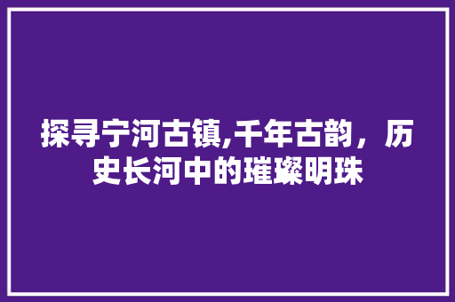 探寻宁河古镇,千年古韵，历史长河中的璀璨明珠