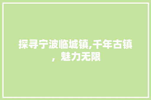 探寻宁波临城镇,千年古镇，魅力无限