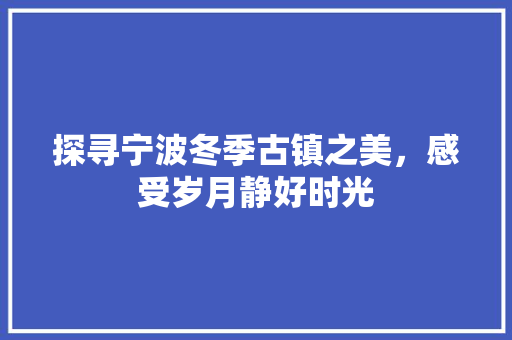 探寻宁波冬季古镇之美，感受岁月静好时光