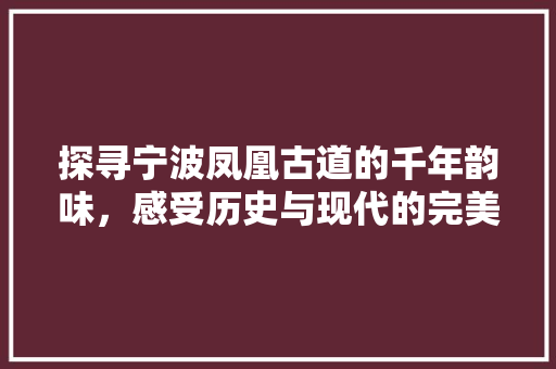 探寻宁波凤凰古道的千年韵味，感受历史与现代的完美交融