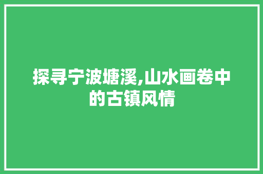 探寻宁波塘溪,山水画卷中的古镇风情