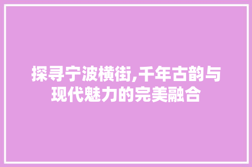 探寻宁波横街,千年古韵与现代魅力的完美融合