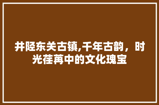 井陉东关古镇,千年古韵，时光荏苒中的文化瑰宝