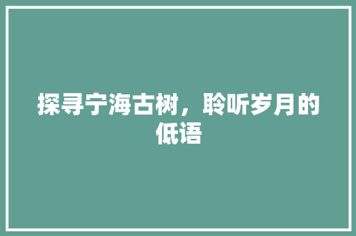 探寻宁海古树，聆听岁月的低语