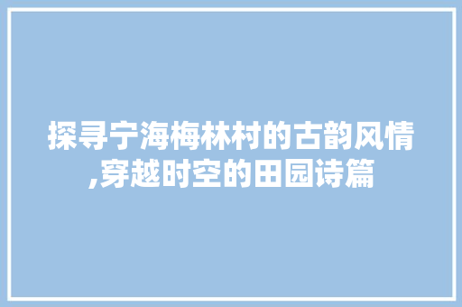 探寻宁海梅林村的古韵风情,穿越时空的田园诗篇