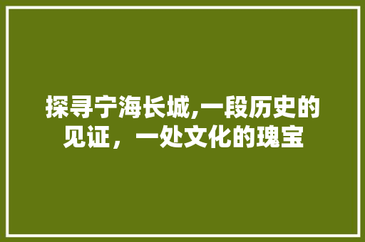 探寻宁海长城,一段历史的见证，一处文化的瑰宝