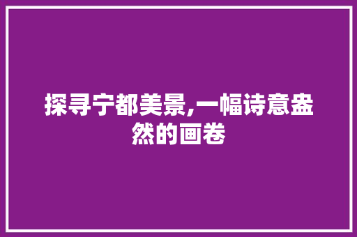 探寻宁都美景,一幅诗意盎然的画卷