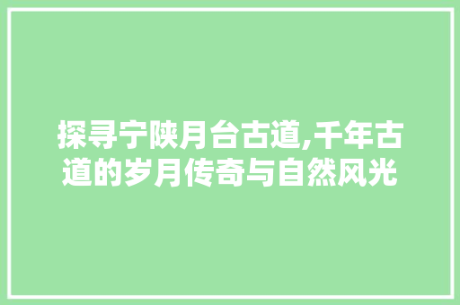 探寻宁陕月台古道,千年古道的岁月传奇与自然风光