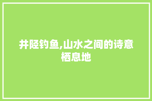 井陉钓鱼,山水之间的诗意栖息地