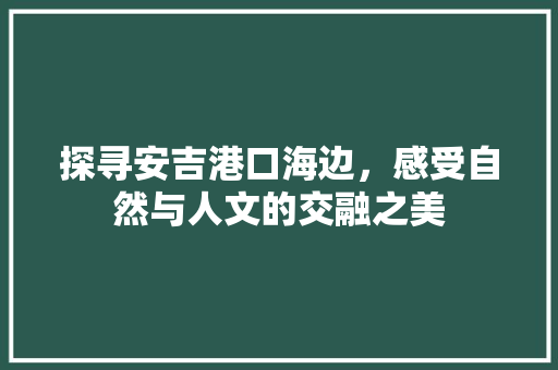 探寻安吉港口海边，感受自然与人文的交融之美