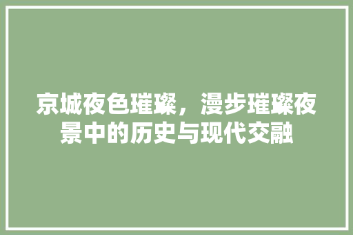 京城夜色璀璨，漫步璀璨夜景中的历史与现代交融