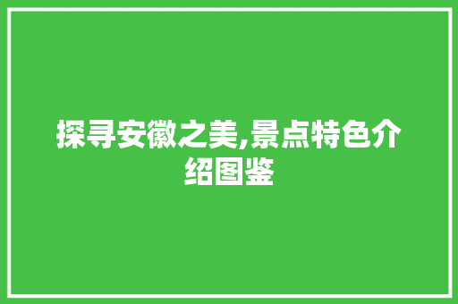 探寻安徽之美,景点特色介绍图鉴