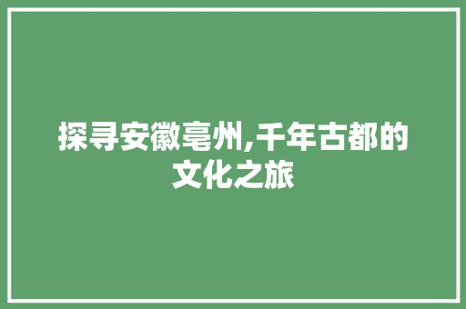 探寻安徽亳州,千年古都的文化之旅