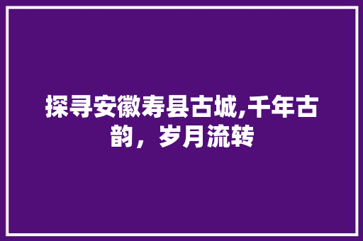 探寻安徽寿县古城,千年古韵，岁月流转