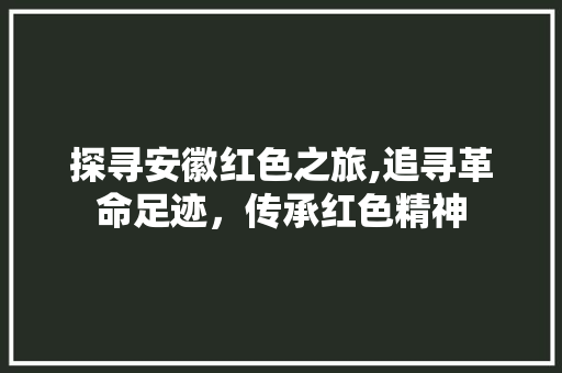 探寻安徽红色之旅,追寻革命足迹，传承红色精神