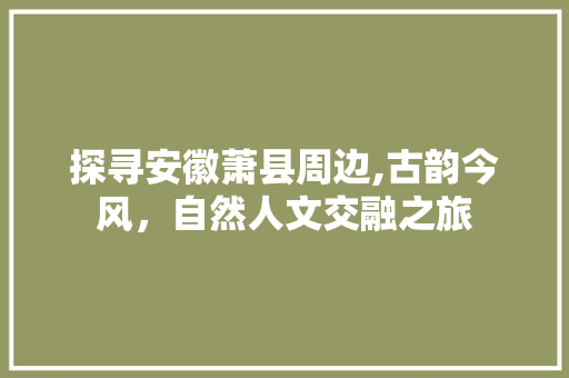 探寻安徽萧县周边,古韵今风，自然人文交融之旅