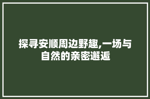 探寻安顺周边野趣,一场与自然的亲密邂逅