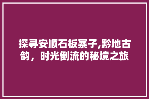 探寻安顺石板寨子,黔地古韵，时光倒流的秘境之旅