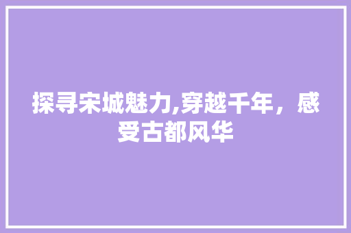 探寻宋城魅力,穿越千年，感受古都风华