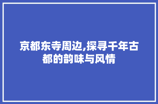 京都东寺周边,探寻千年古都的韵味与风情