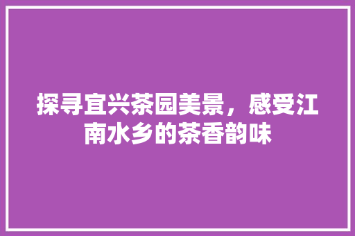 探寻宜兴茶园美景，感受江南水乡的茶香韵味