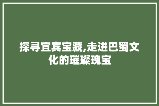 探寻宜宾宝藏,走进巴蜀文化的璀璨瑰宝