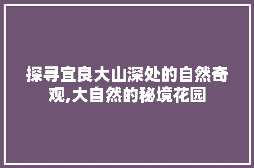 探寻宜良大山深处的自然奇观,大自然的秘境花园