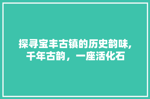 探寻宝丰古镇的历史韵味,千年古韵，一座活化石