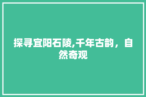 探寻宜阳石陵,千年古韵，自然奇观