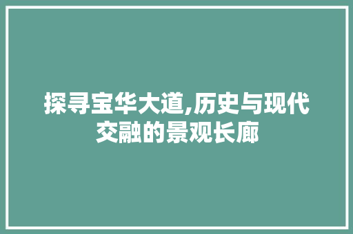 探寻宝华大道,历史与现代交融的景观长廊