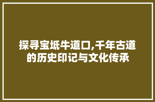 探寻宝坻牛道口,千年古道的历史印记与文化传承