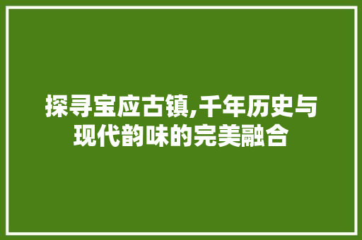 探寻宝应古镇,千年历史与现代韵味的完美融合