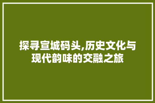 探寻宣城码头,历史文化与现代韵味的交融之旅