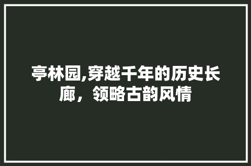 亭林园,穿越千年的历史长廊，领略古韵风情  第1张